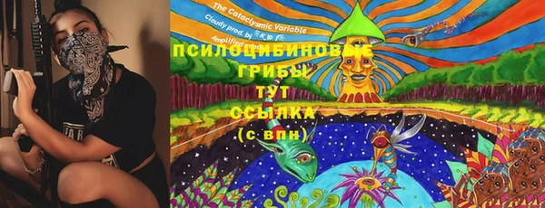ECSTASY Алзамай