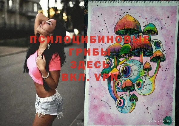 ECSTASY Алзамай