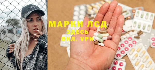 ECSTASY Алзамай