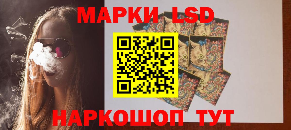 ЛСД экстази  ЛСД экстази кислота  Вход с VPN  Бердск 