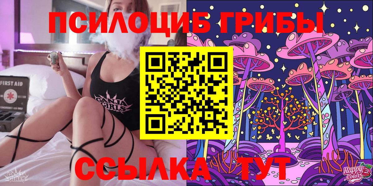 Галлюциногенные грибы Psilocybine cubensis Бердск