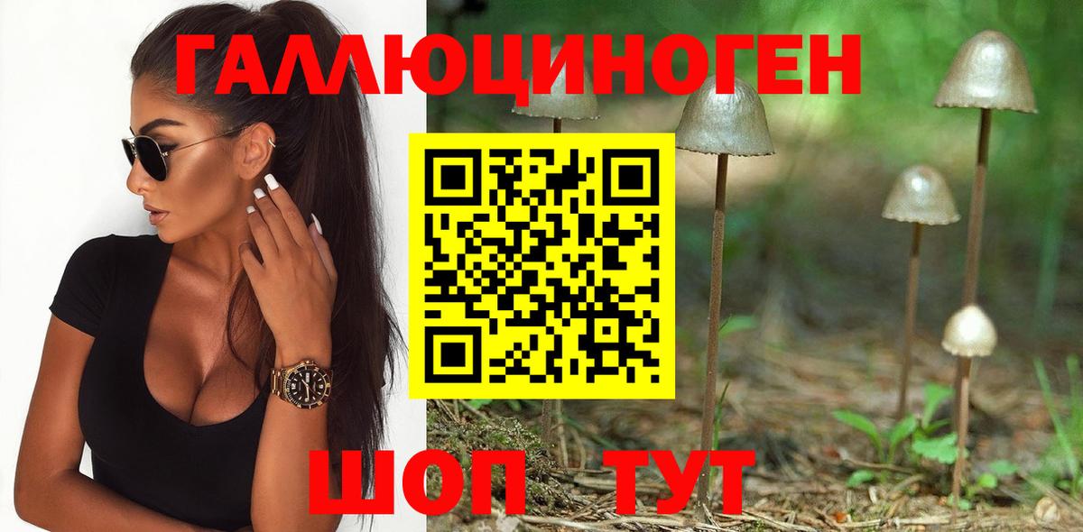 Бердск  Псилоцибиновые грибы MAGIC MUSHROOMS  Вход с VPN  даркнет сайт  Псилоцибиновые грибы мицелий 